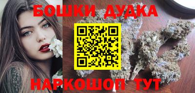 гашик Сланцы