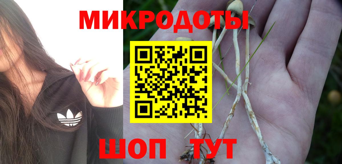 Псилоцибиновые грибы Psilocybine cubensis  где найти наркотики  Назрань  Вход с VPN 